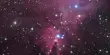 NGC 2264 – Christmas Tree Cluster