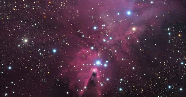 NGC 2264 – Christmas Tree Cluster