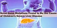 Novel Gene Mutations Found to Be the Cause of Children’s Severe Liver Disease