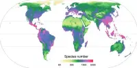 Plant Diversity on a World Map