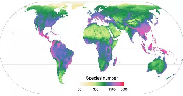 Plant Diversity on a World Map