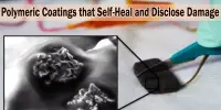 Polymeric Coatings that Self-Heal and Disclose Damage