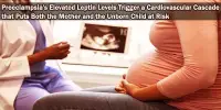 Preeclampsia’s Elevated Leptin Levels Trigger a Cardiovascular Cascade that Puts Both the Mother and the Unborn Child at Risk