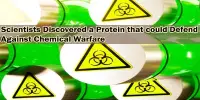 Scientists Discovered a Protein that could Defend Against Chemical Warfare
