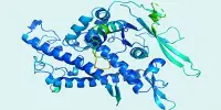 The Newest AI From Meta Detects Appropriate Protein Folds 60 Times More Quickly