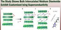 The Study Shows Bulk Intercalated Niobium Diselenide Exhibit Customized Ising Superconductivity
