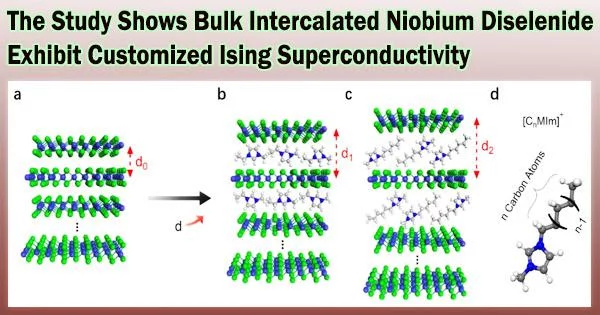 The Study Shows Bulk Intercalated Niobium Diselenide Exhibit Customized Ising Superconductivity