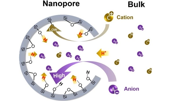 Understanding-the-Extraordinary-Role-of-Nanopores-1