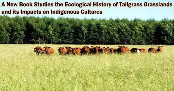 A New Book Studies the Ecological History of Tallgrass Grasslands and its Impacts on Indigenous Cultures