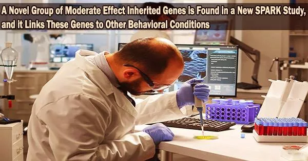 A Novel Group of Moderate Effect Inherited Genes is Found in a New SPARK Study, and it Links These Genes to Other Behavioral Conditions