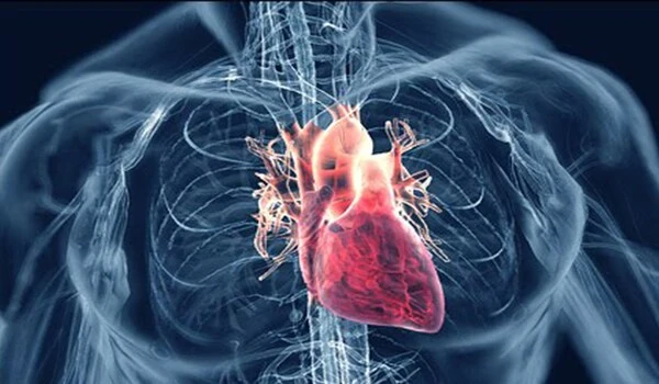 A-Study-found-that-Rheumatoid-Arthritis-Medications-Lower-the-Risk-of-Heart-Disease-1