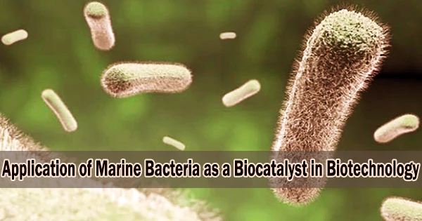 Application of Marine Bacteria as a Biocatalyst in Biotechnology