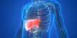 Brain Health is impeded by Fatty Liver Disease