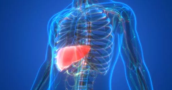 Brain Health is impeded by Fatty Liver Disease
