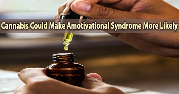 Cannabis Could Make Amotivational Syndrome More Likely