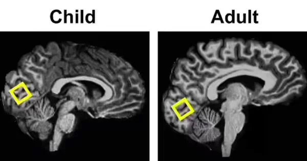 Children Learn Faster than Adults