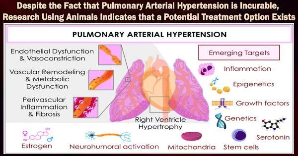 Despite the Fact that Pulmonary Arterial Hypertension is Incurable, Research Using Animals Indicates that a Potential Treatment Option Exists