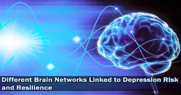 Different Brain Networks Linked to Depression Risk and Resilience