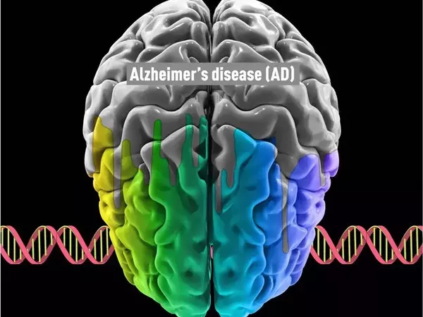 Discovered-a-New-Target-for-Alzheimers-Treatments-1
