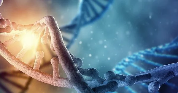 Genes can be Affected for a Long Time by Early Life Experiences