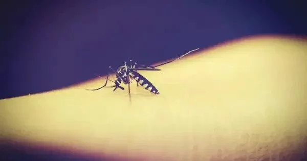 Geoengineering could put One Billion People at Risk of Malaria