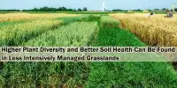 Higher Plant Diversity and Better Soil Health Can Be Found in Less Intensively Managed Grasslands