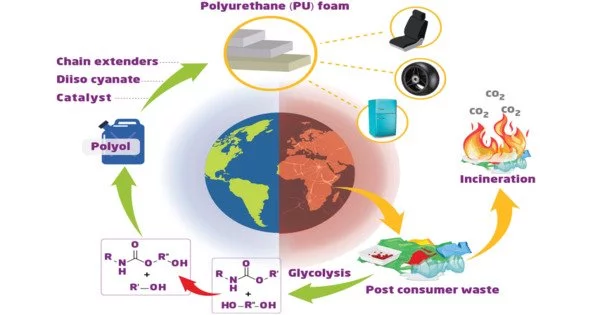 Making Polyurethane Foams that are more Sustainable and Recyclable