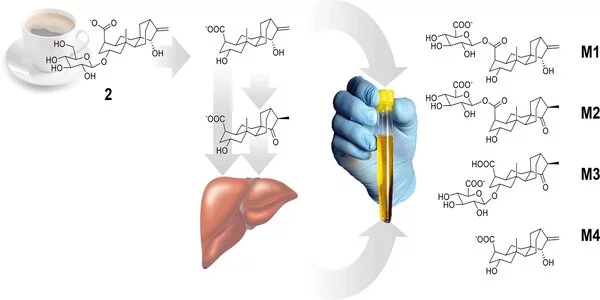 New-Coffee-Consumption-Biomarkers-1