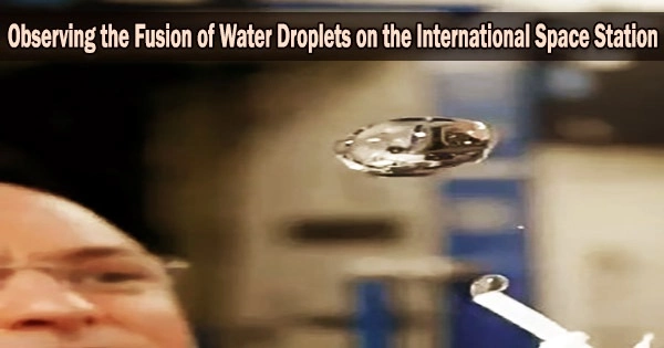 Observing the Fusion of Water Droplets on the International Space Station