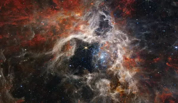 Previously-Hidden-Newborn-Stars-are-Revealed-by-Webb-Space-Telescope-1