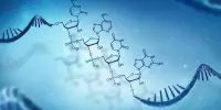 RNA Therapies will Benefit from a New Mechanism