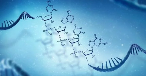 RNA Therapies will Benefit from a New Mechanism