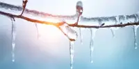 Researchers Provide New Insights on What Causes Icicle Ripples