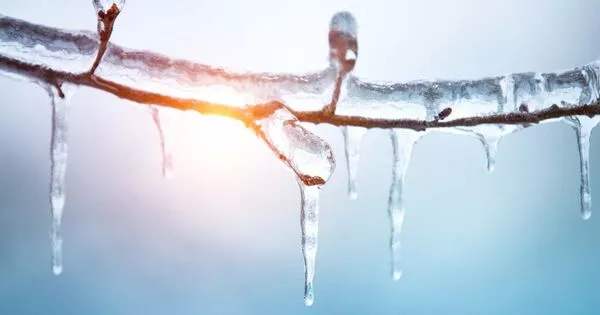 Researchers Provide New Insights on What Causes Icicle Ripples