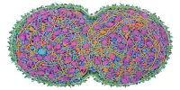 Simpler Imaging of the Dynamic Cellular Zoo