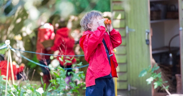 Teachers want assistance in Embracing Nature Play in Primary School