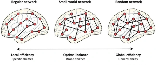 The-Best-Predictor-of-Intelligence-is-Network-Neuroscience-Theory-1