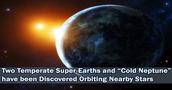 Two Temperate Super-Earths and “Cold Neptune” have been Discovered Orbiting Nearby Stars