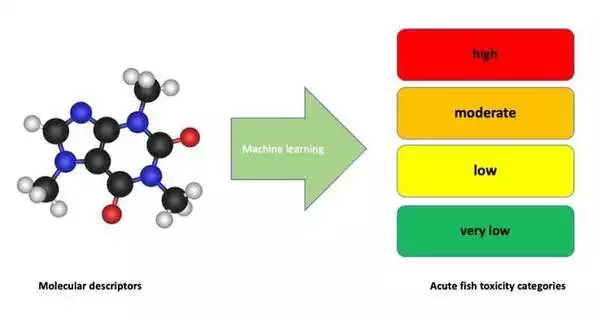 Using-Machine-Learning-to-Enhance-Chemical-Toxicity-Assessments-1