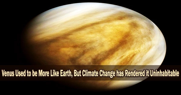 Venus Used to be More Like Earth, But Climate Change has Rendered it Uninhabitable