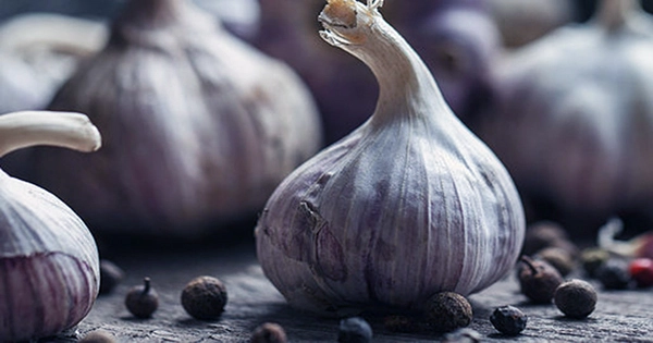 Why You Should Include Garlic In Your Diet Everyday