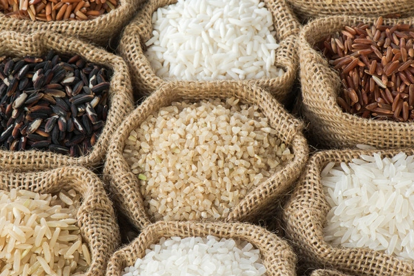 Rice breeding breakthrough to feed billions