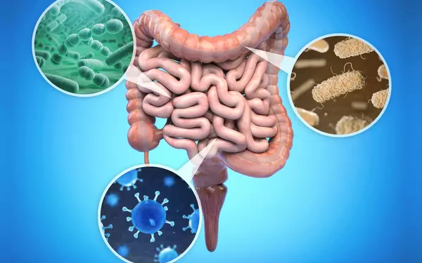 A-New-and-Effective-Method-to-Reveal-Brain-gut-Microbial-Communication-1