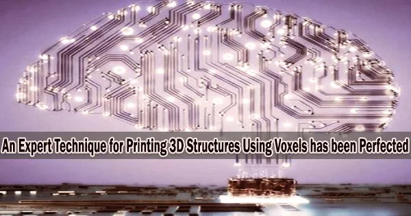 An Expert Technique for Printing 3D Structures Using Voxels has been Perfected