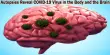 Autopsies Reveal COVID-19 Virus in the Body and the Brain