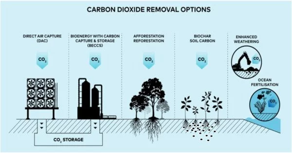 Carbon Dioxide Removal