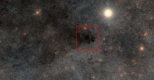 Coalsack Nebula -a large dark nebula