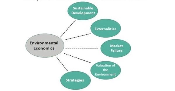 Environmental Economics – a Subfield of Economics