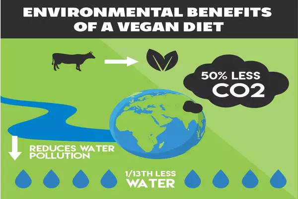 Environmental-Vegetarianism-1