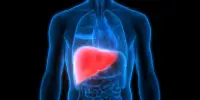 Heart Health is impacted by Liver Illness at any Stage